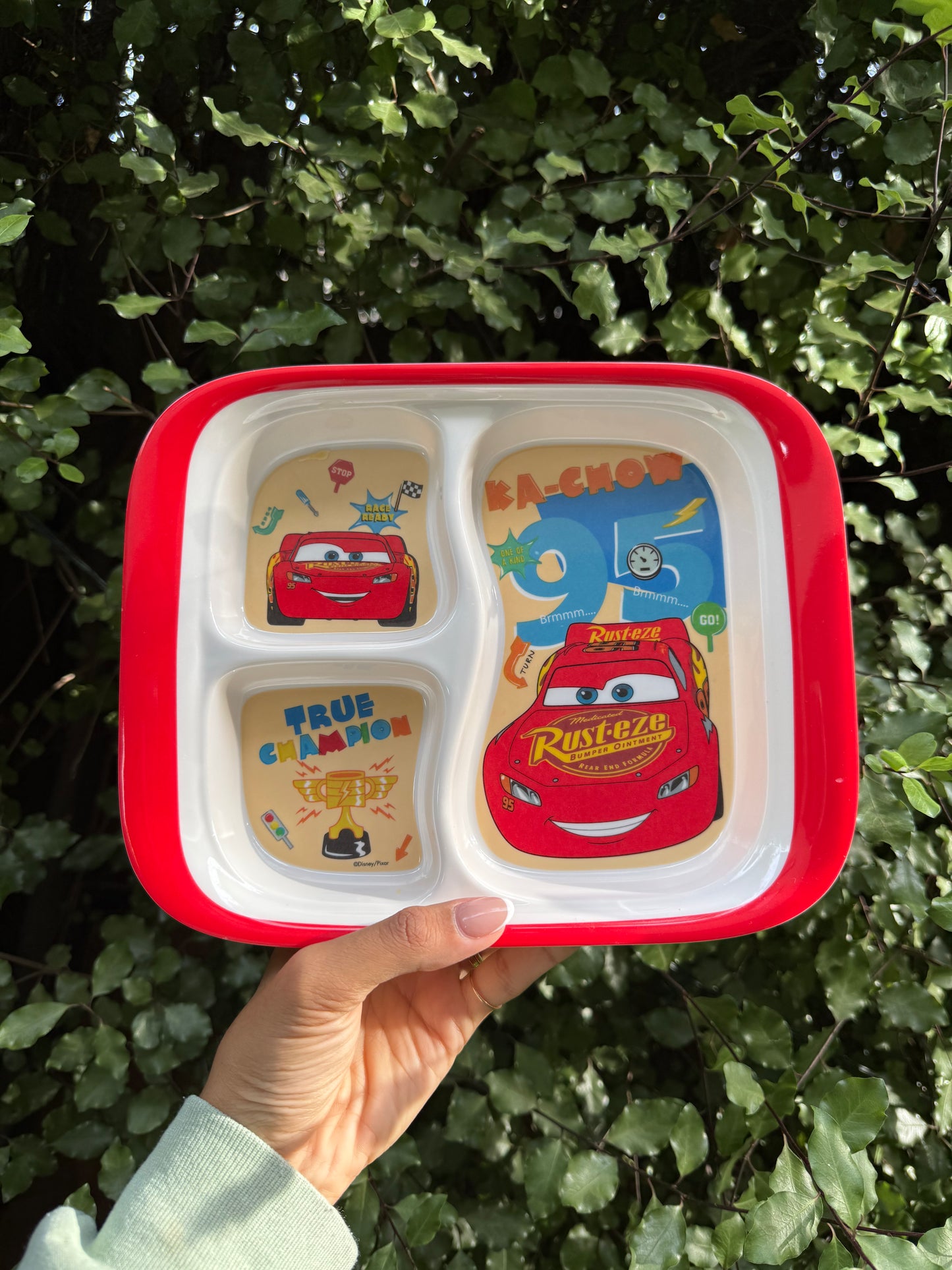 LMQ SNACK PLATE